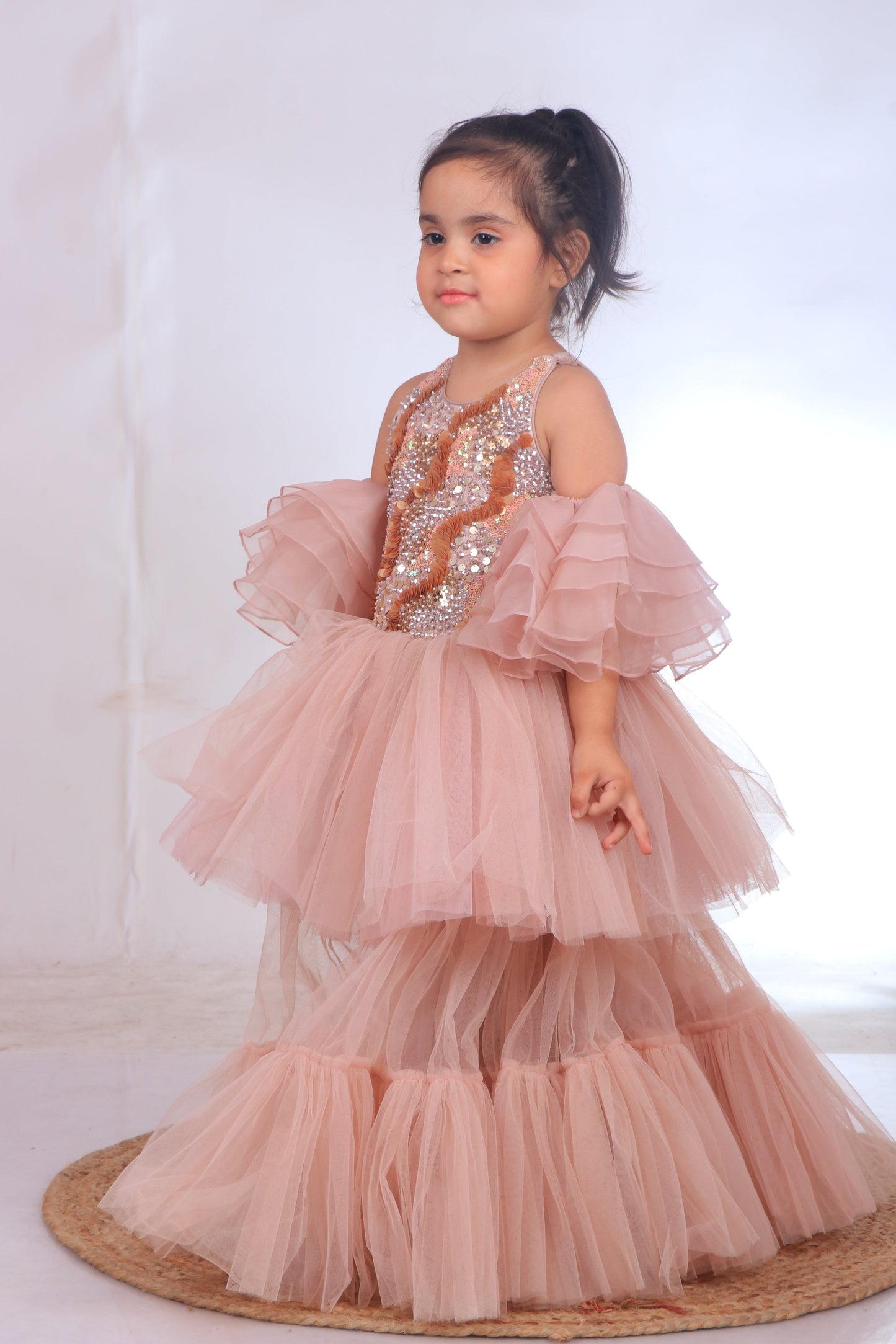 Champagne Sequins Embroidered Organza Tulle Gown