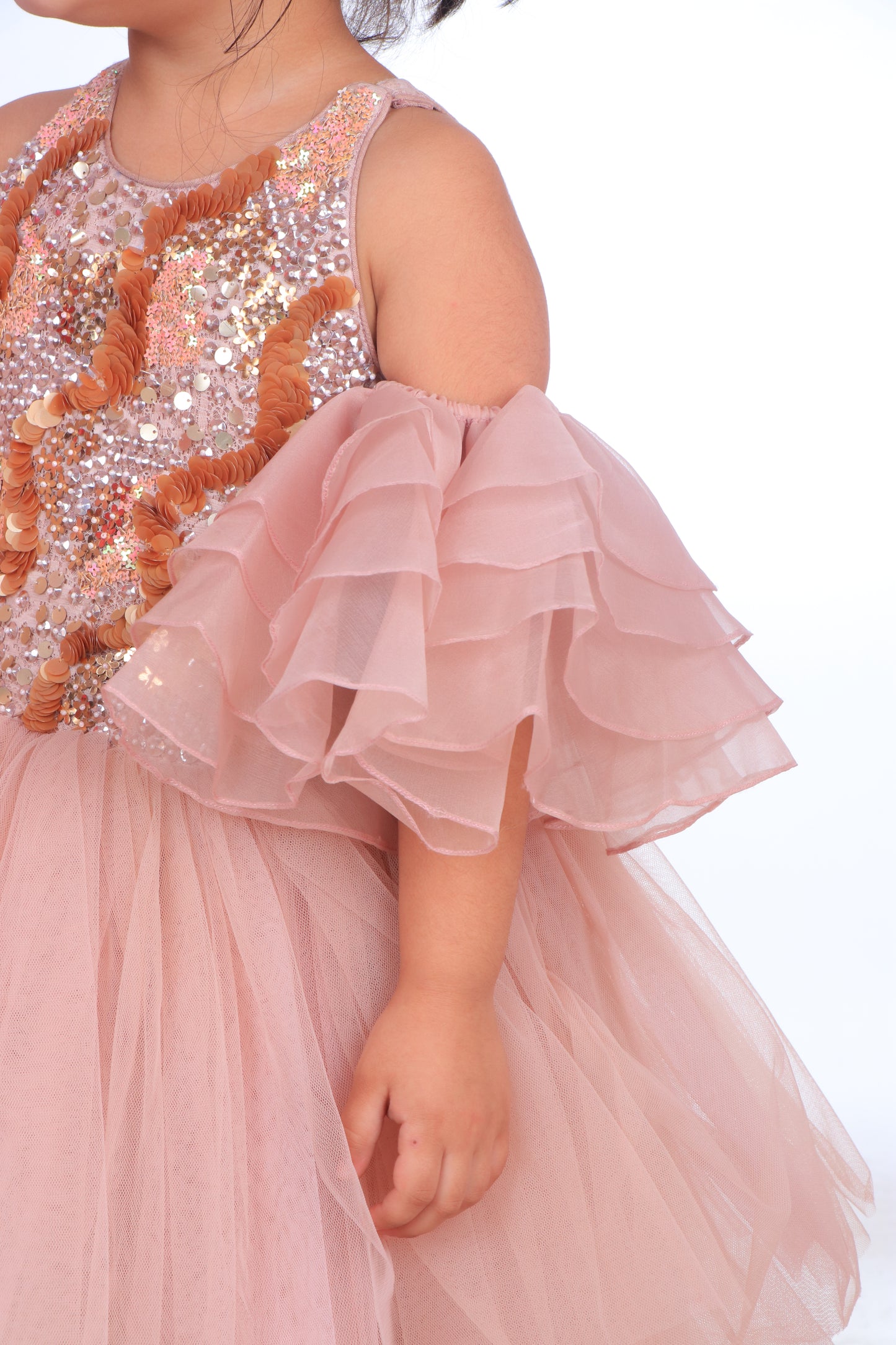 Champagne Sequins Embroidered Organza Tulle Gown
