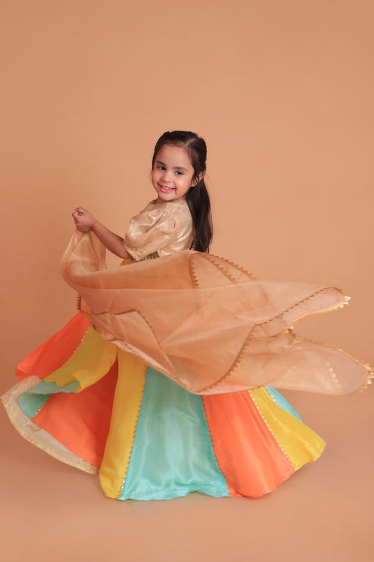 Multicolor Shimmer Gota And Mirror Embroidered Lehenga Choli With Dupatta Set