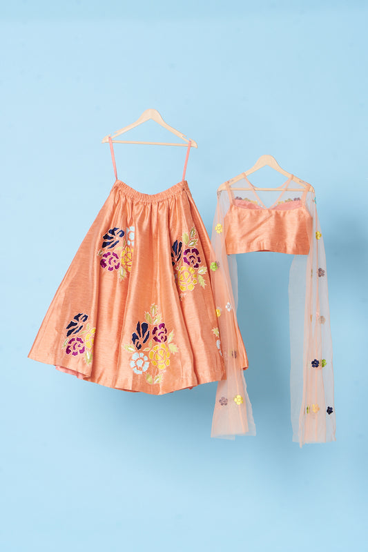 Peach Flower Embroidered Flared Top With Lehenga Set