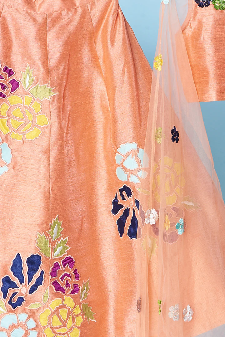 Peach Flower Embroidered Flared Top With Lehenga Set