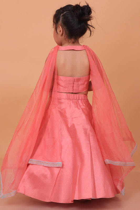 Pastel Pink Dupion Silk Embroidered Lehenga Set