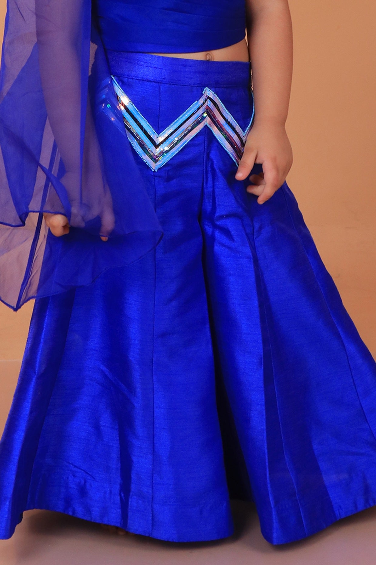 Electric Blue Dupion Silk Embroidered Sharara