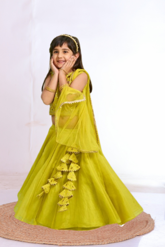 Mehendi Green Embroidered Lehenga Set