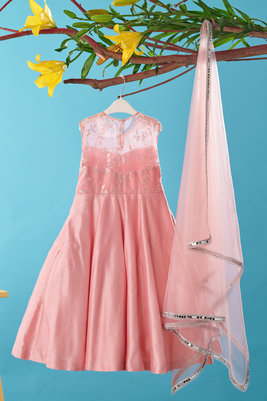 Pink Faux Mirror And Sequins Embroidered Anarkali With Lace Detailing Dupatta