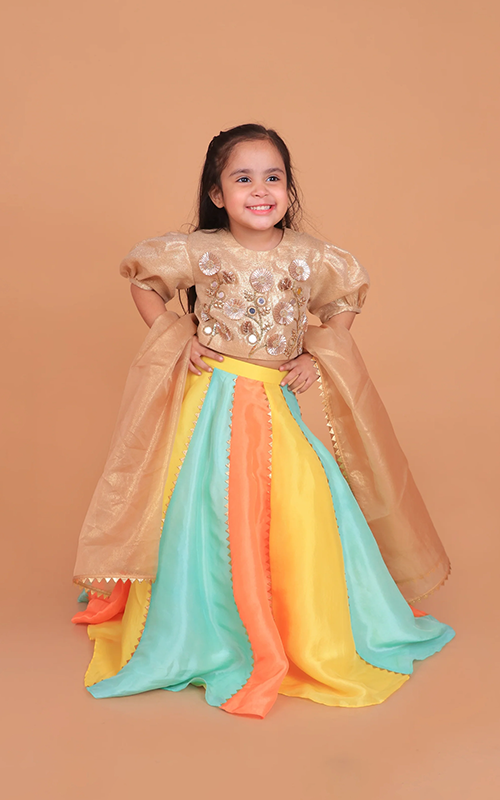 Lehenga Choli Sets