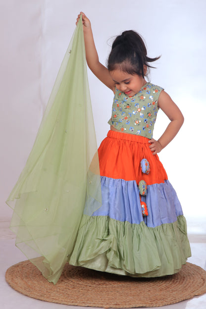 Multi-colored Embroidered lehenga set