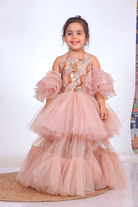 Champagne Sequins Embroidered Organza Tulle Gown