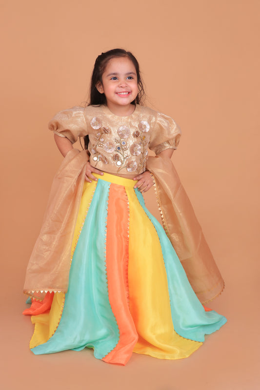 Multicolor Shimmer Gota And Mirror Embroidered Lehenga Choli With Dupatta Set