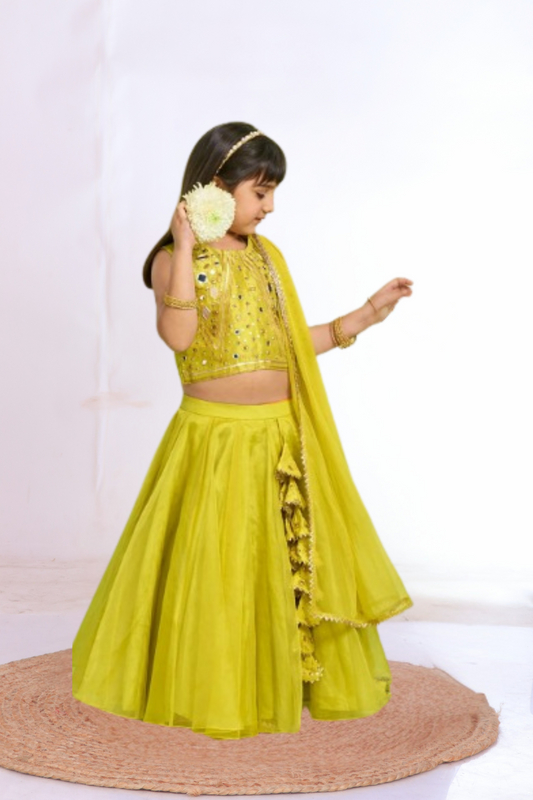 Mehendi Green Embroidered Lehenga Set